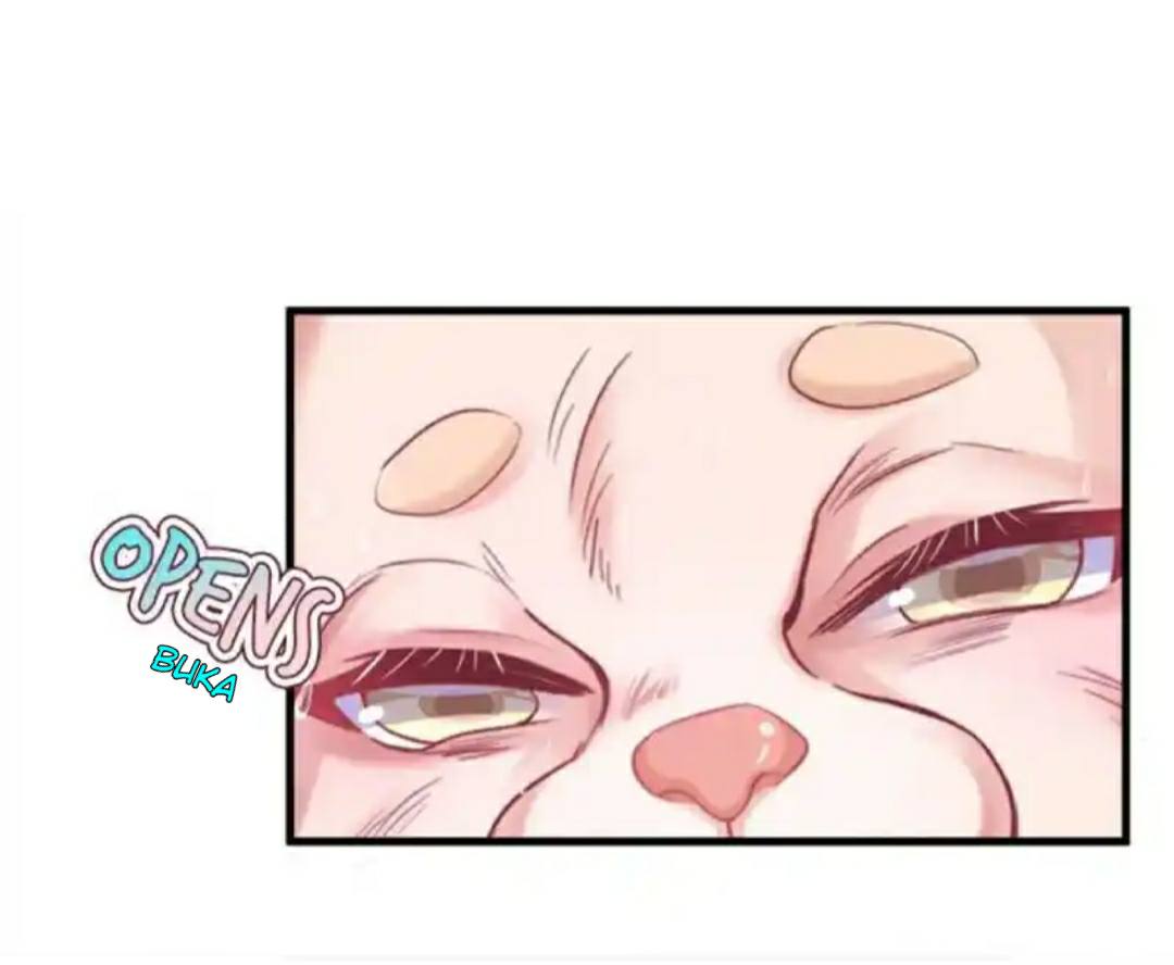 Beauty and the Beasts Chapter 205 Gambar 12